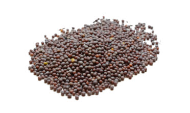 brown-mustard-seed