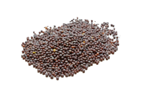 brown-mustard-seed