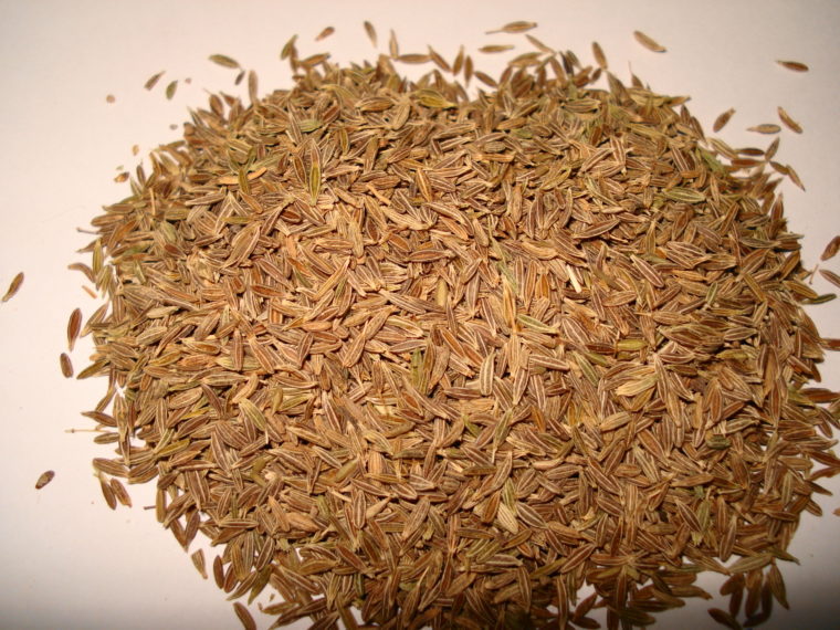 Cumin Spice of the Week High Plains Spice Company