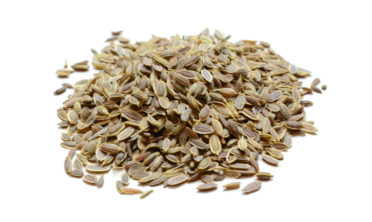dill-seed