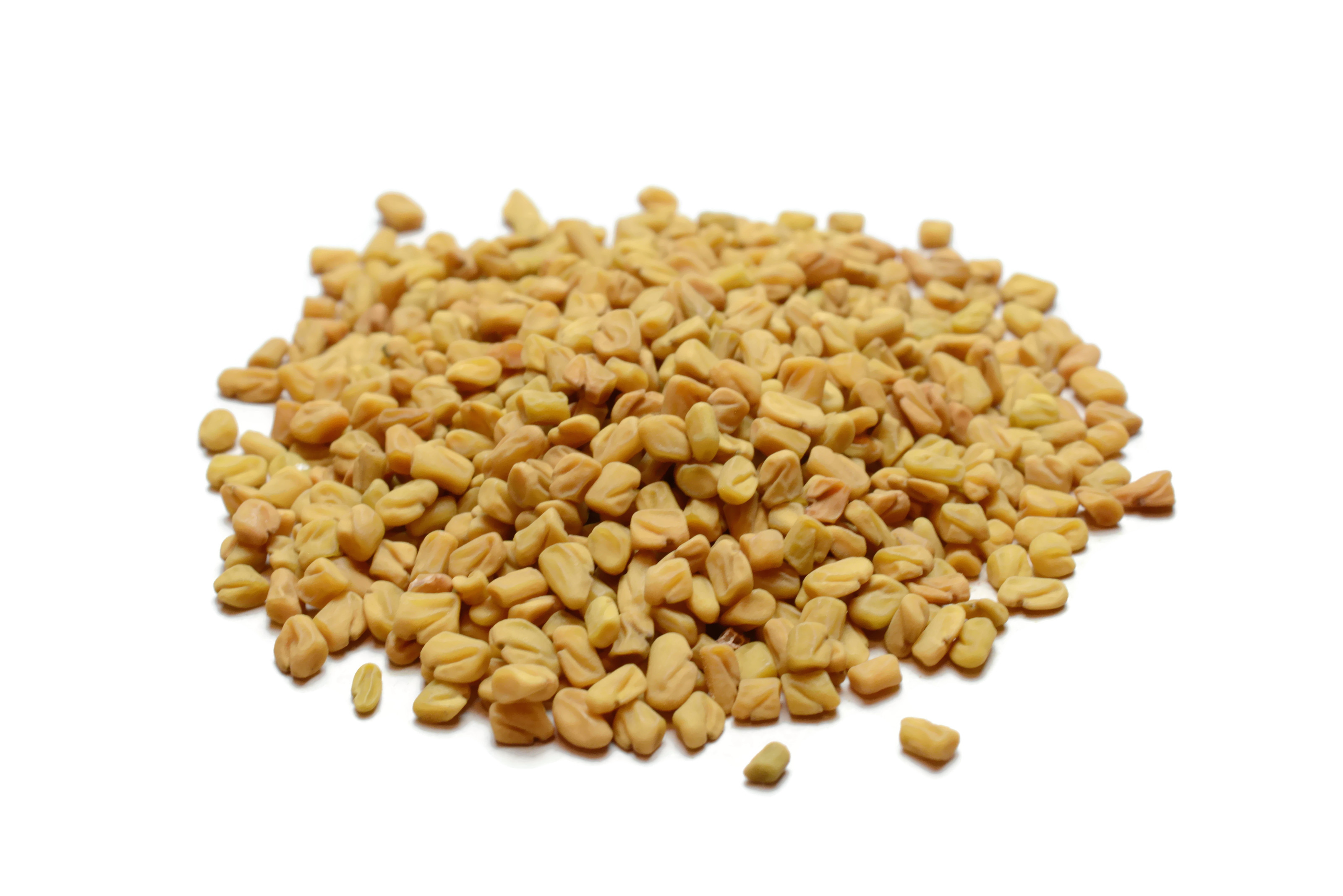 Fenugreek Seed High Plains Spice Company